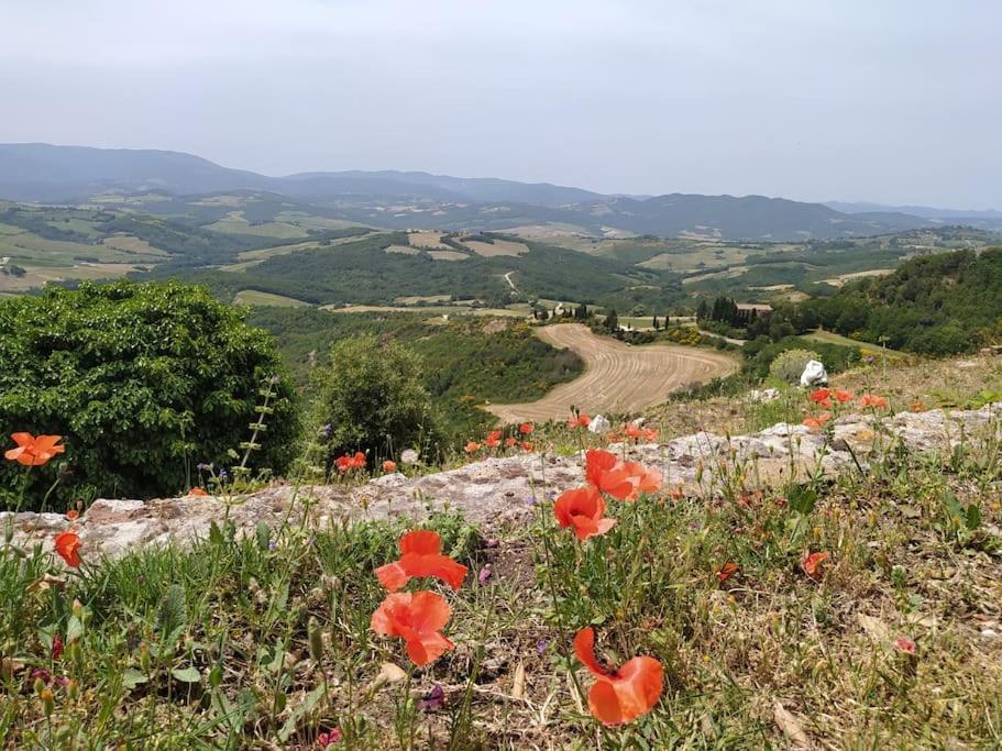 Appartamento Casa Contadina in borgo medievale, Tuscany Monteguidi Esterno foto