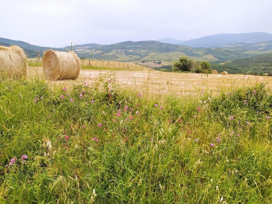 Casa Contadina in borgo medievale, Tuscany Monteguidi Esterno foto